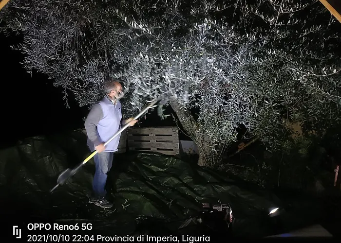 Agriturismo Monaci Templari