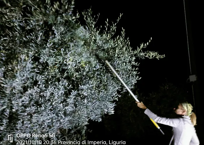 Agriturismo Monaci Templari