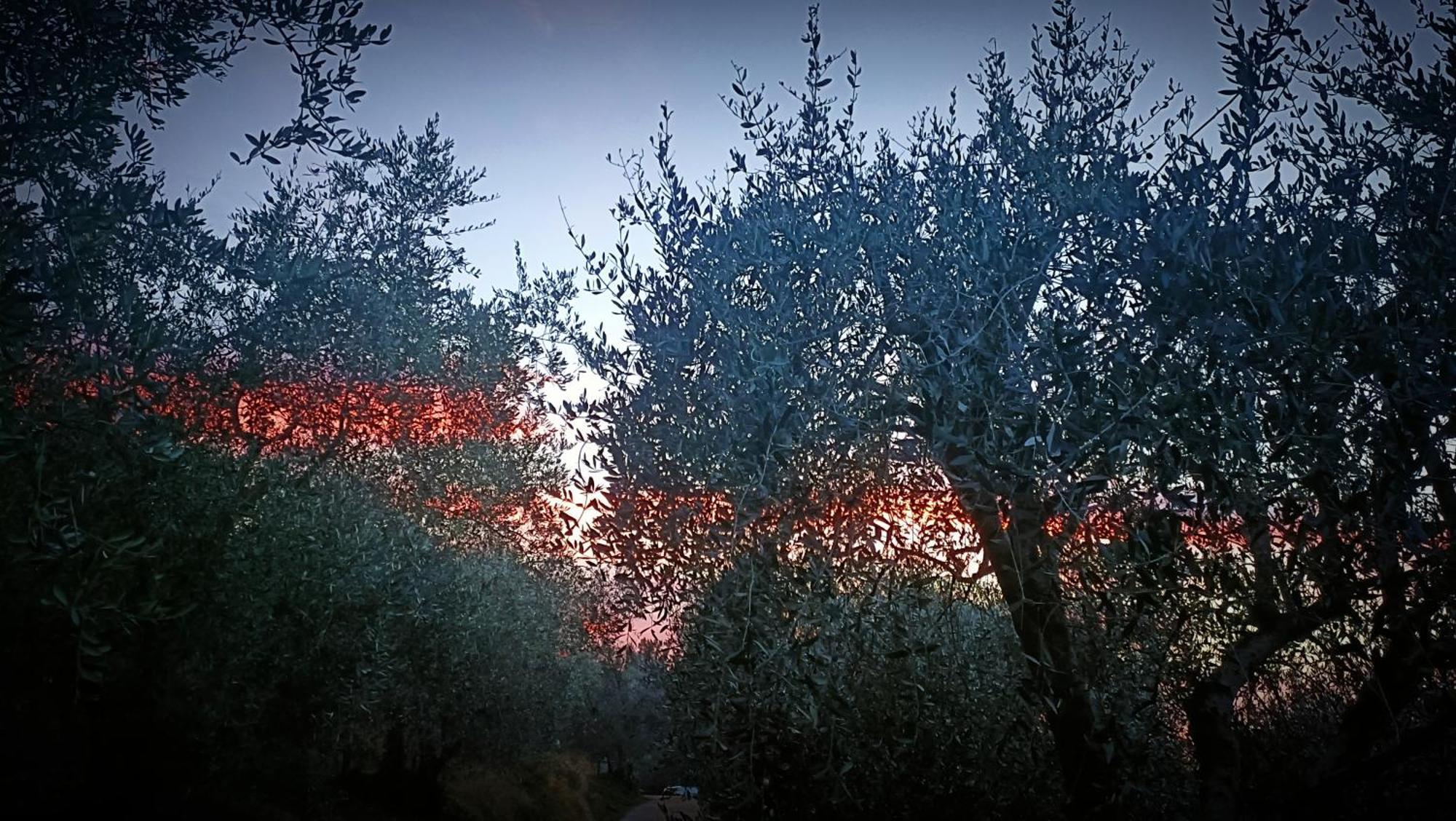 Monaci Templari Agroturismo